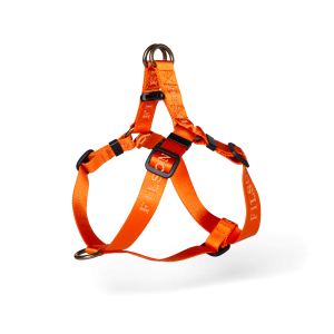 Adjustable Nylon Harness - Flame